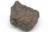 Chondrite Meteorite ( g) - Western Sahara Desert #223108-1